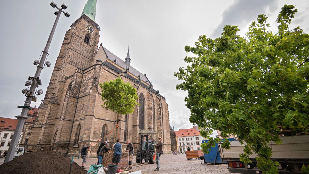 Kněží v plzeňské diecézi nabídnou před kostely popelec všem lidem